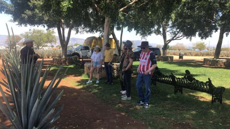 Guadalajara: Tequila Day Trip with Jose Cuervo Option - Practical Considerations