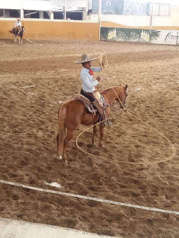 Guadalajara Tour and Charreria Competition Show - Key Points
