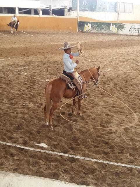 Guadalajara Tour and Charreria Competition Show - Who This Tour Is Best For