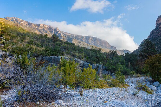 Guadalupe Mountains National Park Self Guided Audio Tour - Practical Tips for Making the Most of Your Tour