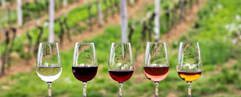 Guadalupe Valley: Complete Wine Route - An Overview of the Guadalupe Valley Tour Experience