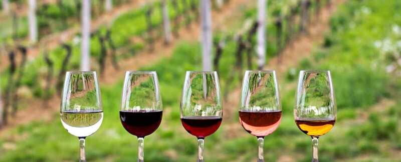 Guadalupe Valley: Complete Wine Route - Who Will Love This Tour?