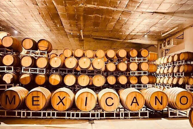 Guadalupe Valley Private Tour The Wine Route - Analyzing the Cost and Value