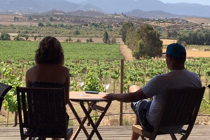 Guadalupe Valley Wine Route Tour in Baja California - The Value Factor