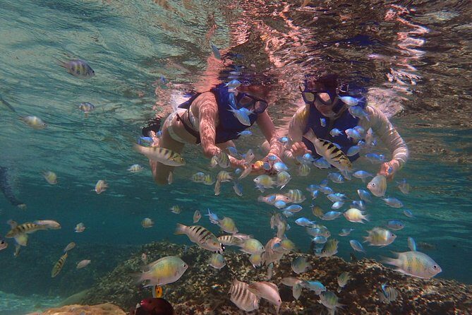 Guam's Private 5 Star Guided Snorkeling Tour! - What Makes This Snorkeling Tour Stand Out?