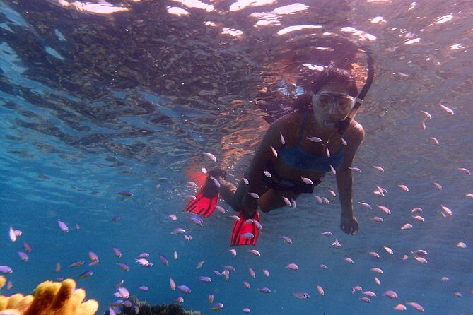 Guam's Private 5 Star Guided Snorkeling Tour! - Practical Tips for Your Snorkeling Adventure