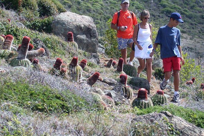 Guana Bay Coastal Hike - A Walk into Nature with a View