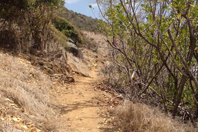 Guana Bay Coastal Hike - Practical Details and Considerations