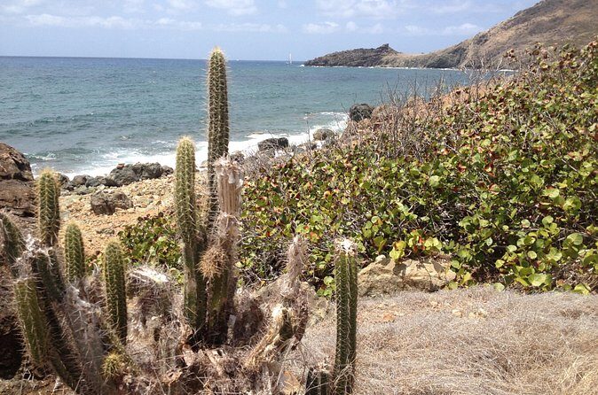 Guana Bay Coastal Hike - The Bottom Line: Who Will Enjoy This Tour?