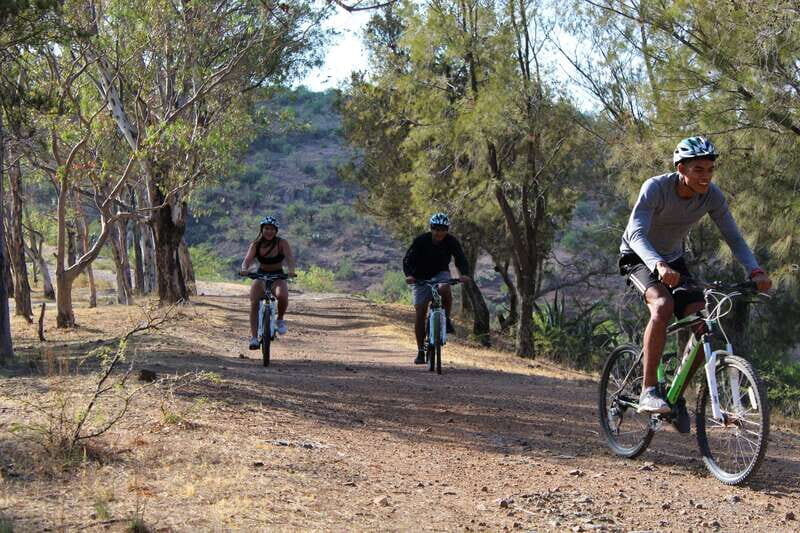 Guanajuato City: Bike Tour - The Route Breakdown: From Mountain to City