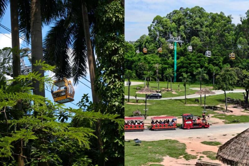 Guangzhou Chimelong: Safari Park/ParadiseOptional Day Tour - The Experience and Its Value