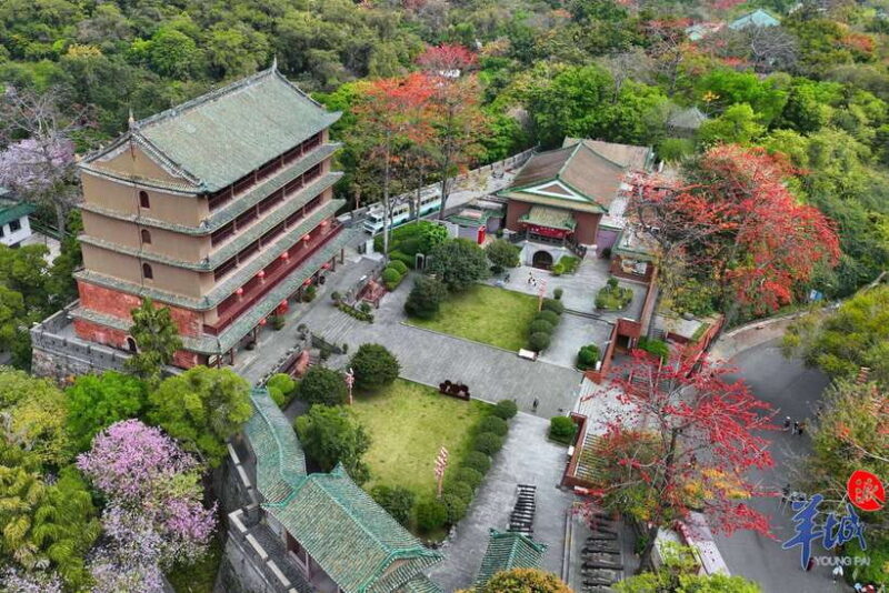 Guangzhou Full Day City Tour with Old and New Highlights - Logistics and Practical Details