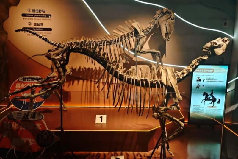 Guangzhou: Grandview Museum of Nature Science Ticket - An In-Depth Look at Guangzhou’s Natural Science Museum