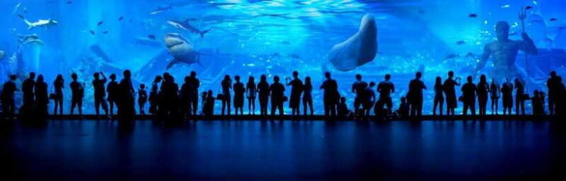 Guangzhou: Grandview Museum of Nature Science Ticket - Dinosaur Exhibits: Walking with Giants