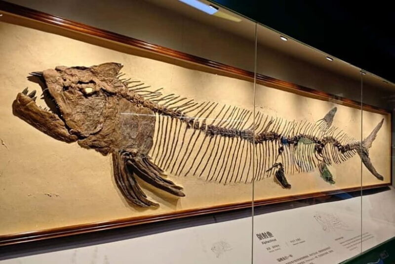 Guangzhou: Grandview Museum of Nature Science Ticket - Space and Ocean Exhibits: Expanding Horizons