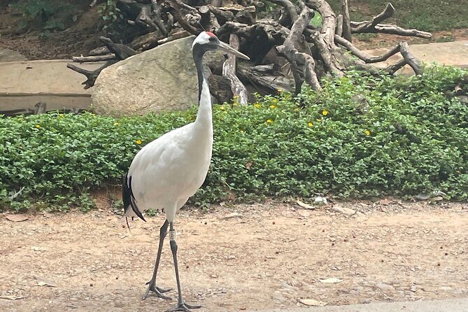 Guangzhou Private Safari Tour with Ride - FAQ