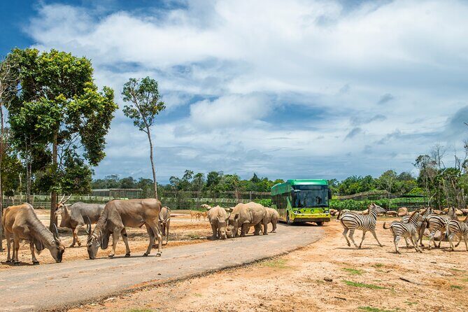 Guaranteed Departures: Vinpearl Safari & Countryside Pepper Farm - The Itinerary Breakdown