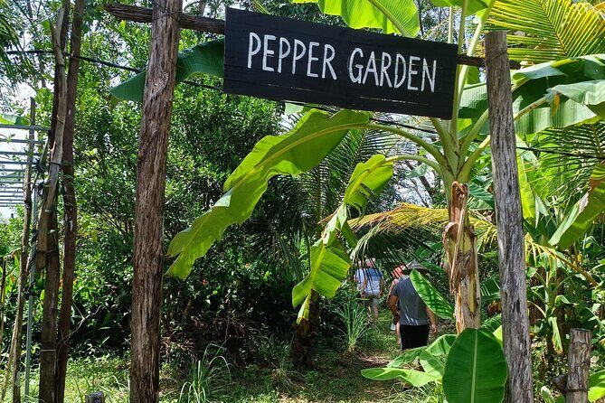 Guaranteed Departures: Vinpearl Safari & Countryside Pepper Farm - Final Thoughts: Who Will Love This Tour?
