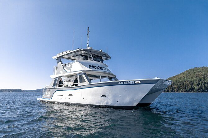 Guaranteed Dolphin and Whale Watch Tour in Kona - Overview of the Experience