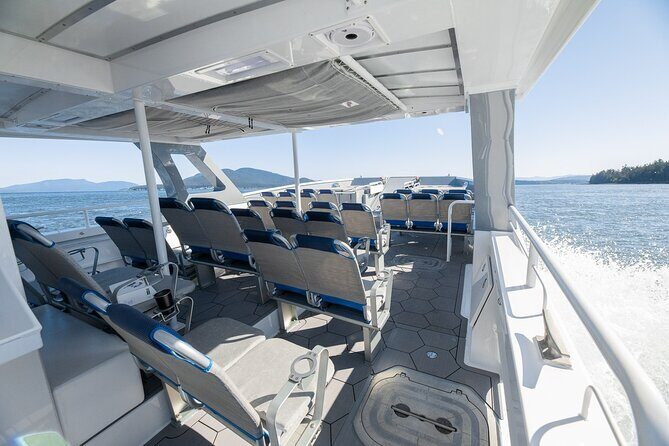 Guaranteed Dolphin and Whale Watch Tour in Kona - Final Thoughts