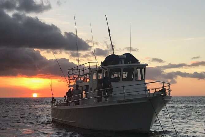 Guaranteed Whale Watch in Kona - An Overview of the Experience