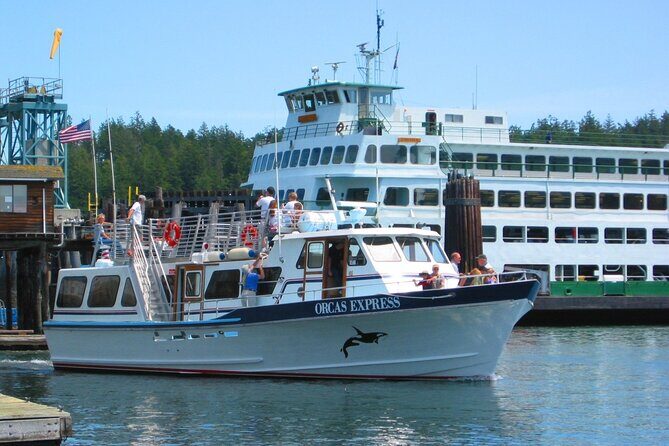 Guaranteed Whale Watching Tour - The Sum Up: Who Will Love This Tour?