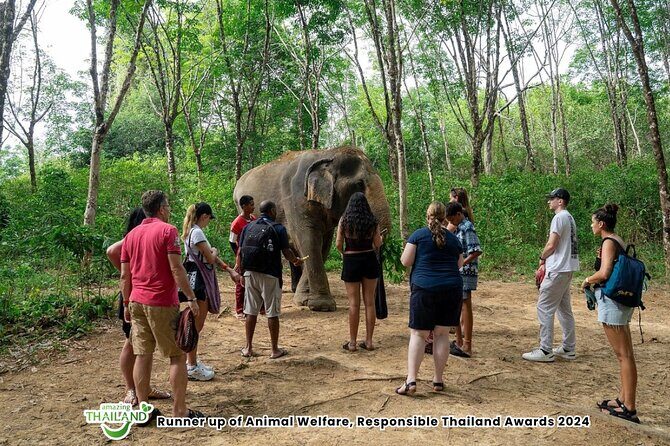 Guide Tour to Khaolak Elephant Sanctuary in Small Group - The Experience in Detail