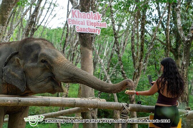 Guide Tour to Khaolak Elephant Sanctuary in Small Group - The Sum Up