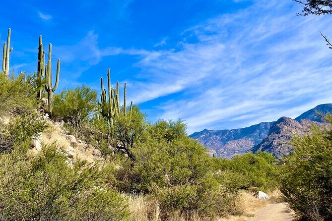 Guided 2 Hour Horseback Ride Catalina State Park Coronado Forest - Exploring the Ride: What to Expect from Start to Finish
