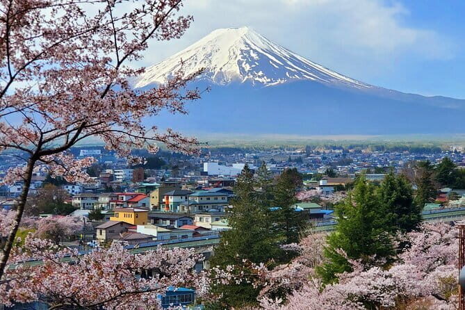Guided 3 Days Tour Tokyo, Mt. Fuji and Hakone GREEN NUMBER PLATE - What Makes This Tour Valuable?