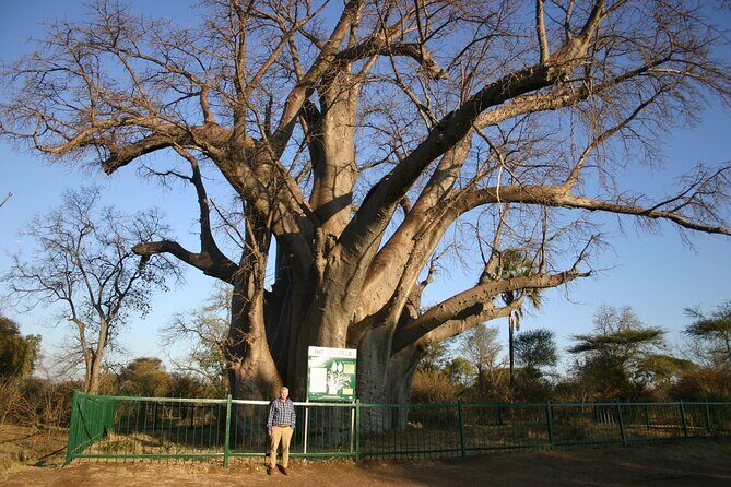 Guided 4x4 Town Safari in Victoria Falls - Detailed Breakdown of the Experience
