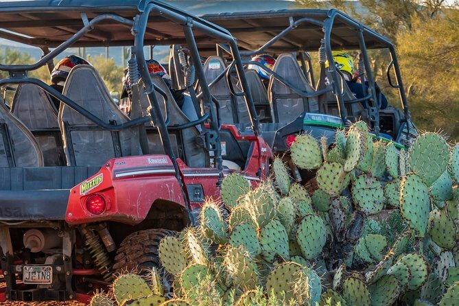 Guided Arizona Desert Tour by UTV - Centipede Tour - The Sum Up: Is This the Desert Adventure for You?