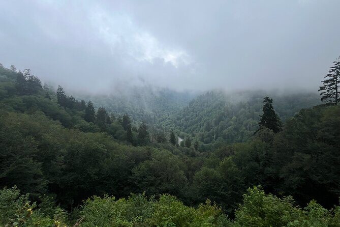 Guided Art Adventure Hikes in Great Smoky Mountains Natl Park - Experience Breakdown: What to Expect