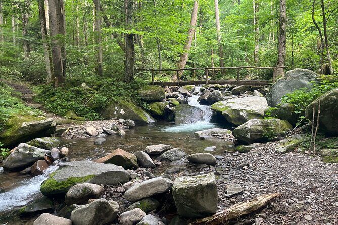 Guided Art Adventure Hikes in Great Smoky Mountains Natl Park - FAQ