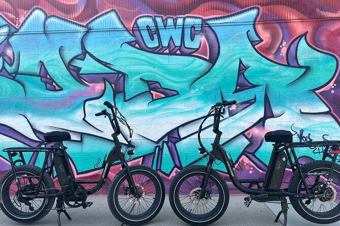 Guided Asheville E-bike Tour of River Arts, Mountains and Murals - The Value of the Experience