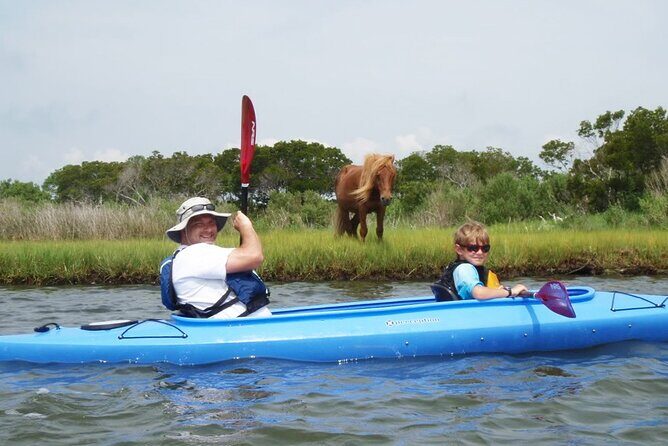 Guided Assateague Kayaking and Wildlife Discovery Tour - Exploring Assateague’s Ecosystem by Kayak
