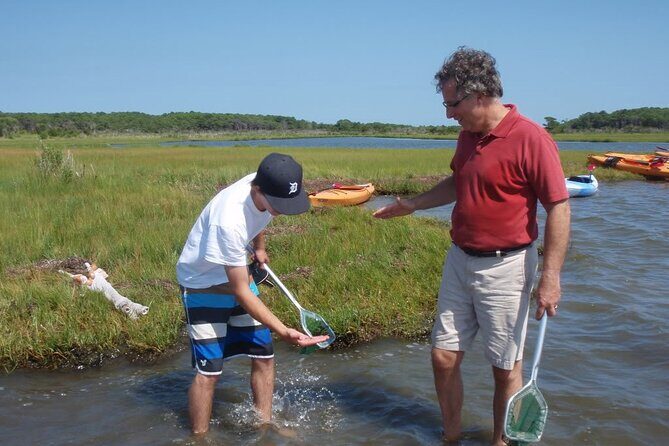 Guided Assateague Kayaking and Wildlife Discovery Tour - The Itinerary in Detail