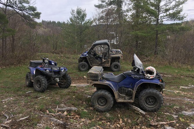 Guided ATV Tour in Calabogie with Lunch - The Experience: What You Can Expect on the Tour