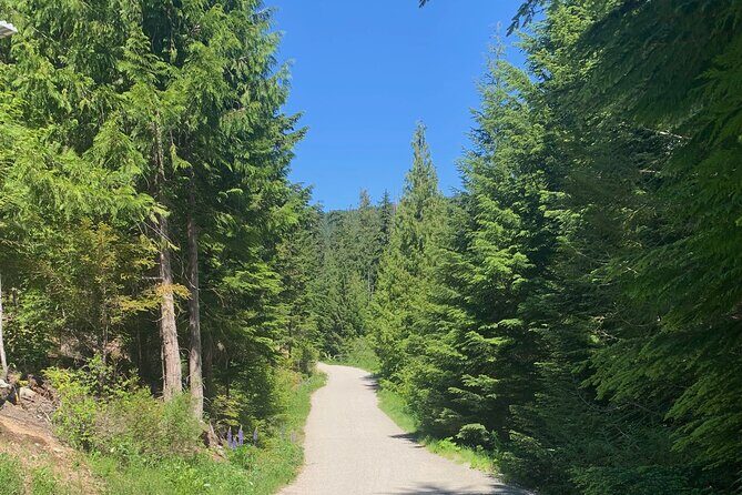 Guided Bike /E-bike Tour in Whistler From Vancouver - The Experience in Detail