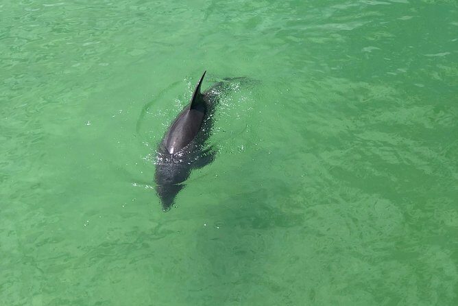 Guided Bike Tour - Downtown Naples Florida - The Itinerary in Detail