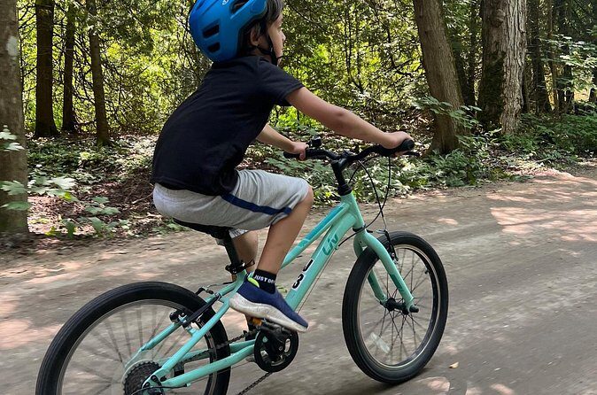 Guided Bike Tour of Mackinac Island with Scenic Views - The Sum Up