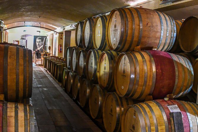 Guided Bike Tour of Stellenbosch - Final Thoughts: Who Will Love This Tour?