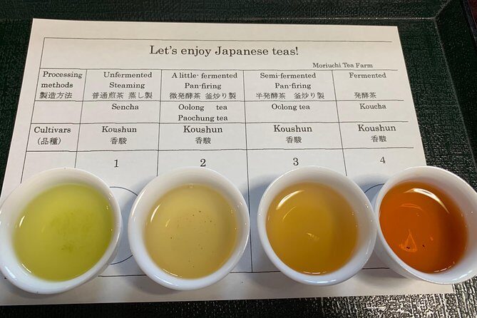 Guided Bike Tour to a Green Tea Farm in Shizuoka (not e-bikes) - Introduction: A Unique Way to Experience Shizuoka’s Green Tea Heritage