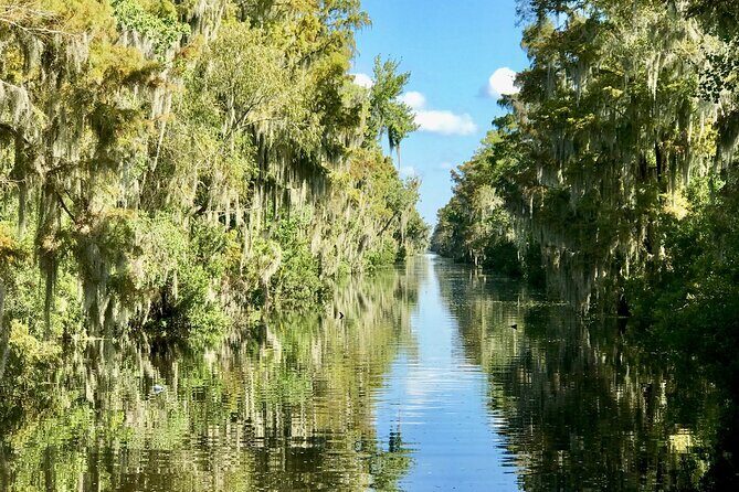 Guided Boat Tour of New Orleans Bayou and Wildlife - The Sum Up
