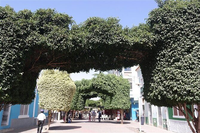 Guided City tour Praia with Cidade Velha (World Heritage) - Why This Tour Is a Great Choice