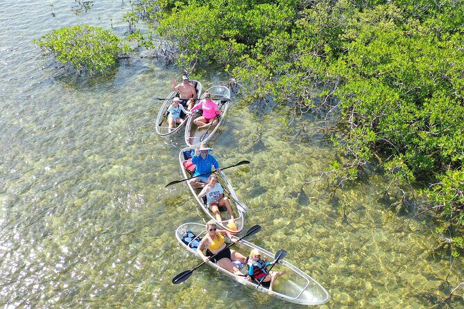 Guided Clear Kayak Eco-Tour Near Key West - An Introduction to the Tour Experience