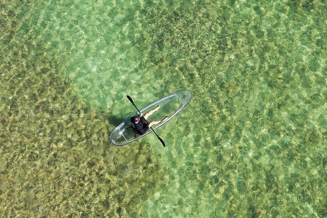 Guided Clear Kayak Eco-Tour Near Key West - Authentic Guest Experiences