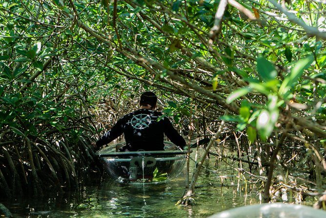 Guided Clear Kayak Eco-Tour Near Key West - The Value of the Tour