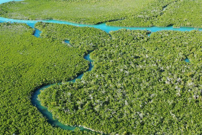 Guided Clear Kayak Eco-Tour Near Key West - Who Will Love This Tour?