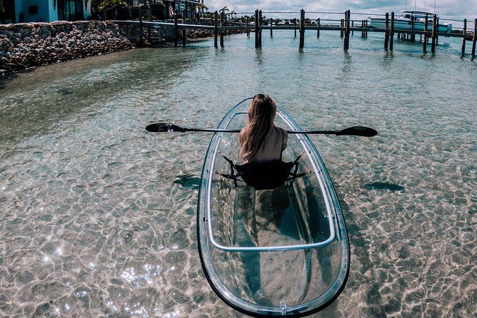 Guided Clear Kayak Eco-Tour of Jupiter - A Deep Dive into the Experience